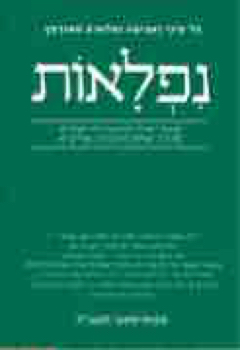 204497_AVITA_NIFLAOT