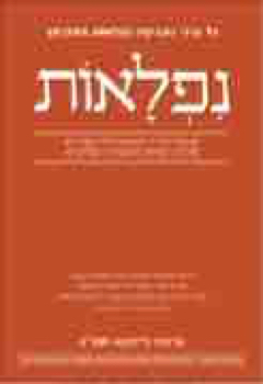 149773_MILENIUM_HAVAKIM