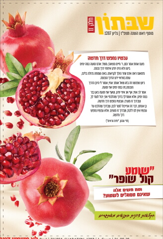 216804_shabaton_1287