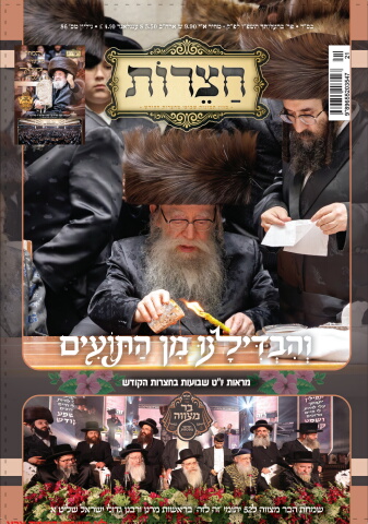 213441_netto_hazerot