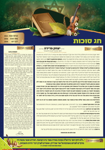 217211_netto_succot