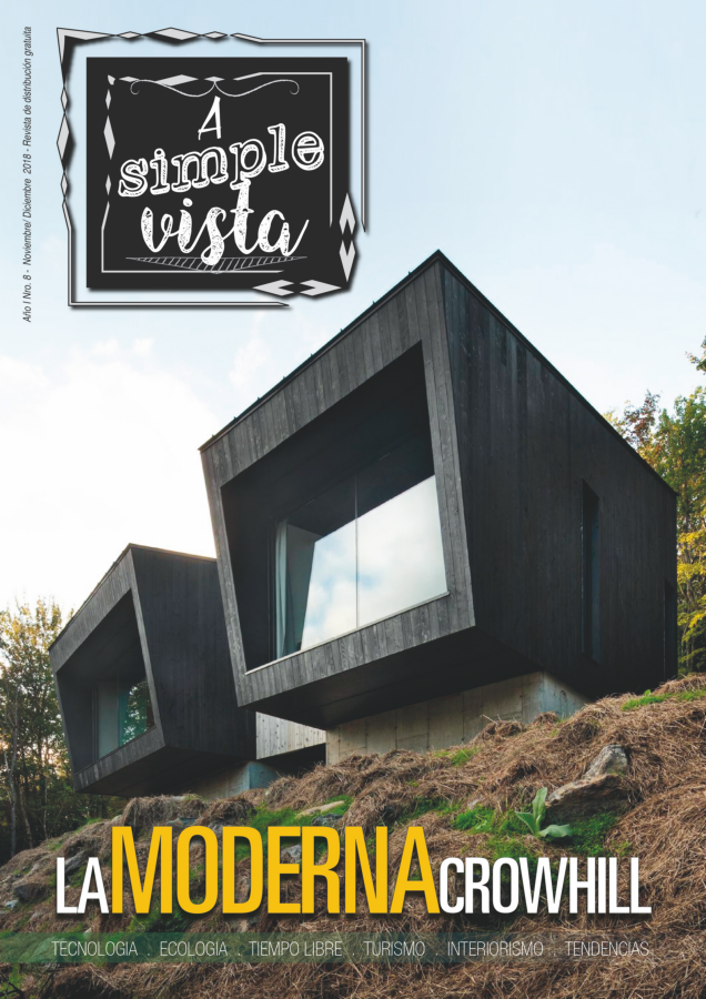 REVISTA A SIMPLE VISTA Nº8 Noviembre 2018