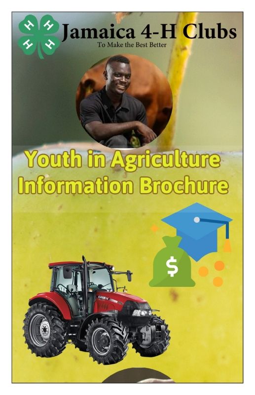 YIA Brochure