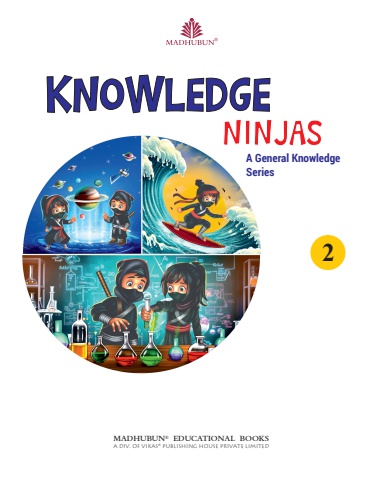 Knowledge Ninjas 2