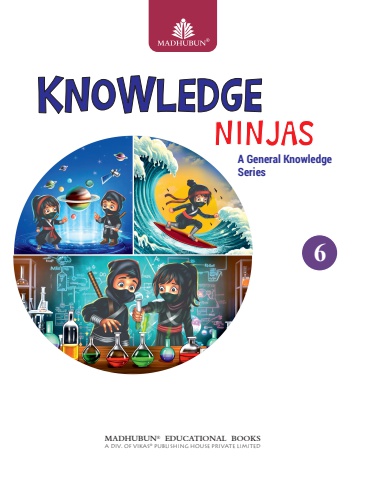 Knowledge Ninjas 6