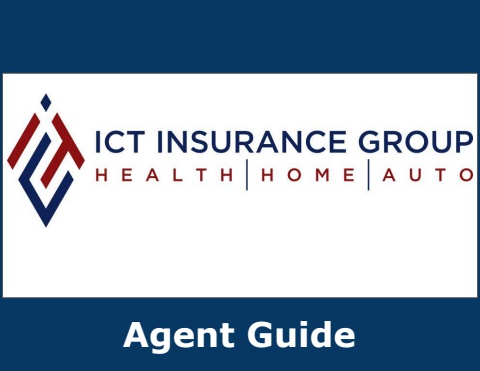 ICT Agent Guide (4)
