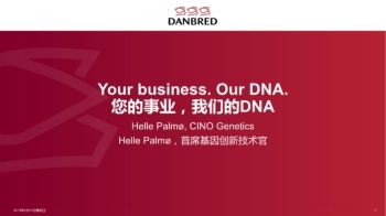 DanBred Presentation Summit Wuhan 2019 English&Chinesse final for print