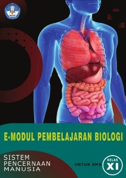 sistem pencernaan manusia