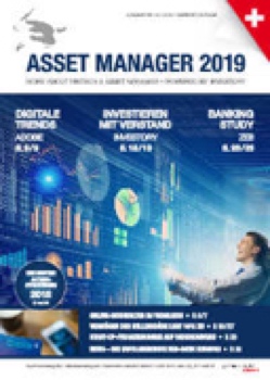 ASSET MANAGER 10