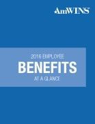 AmWINS 2016 Benefits at a Glance