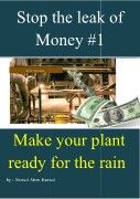 make your plant ready for rain - details