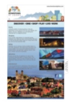 Downtown St. John's Section 2017-18