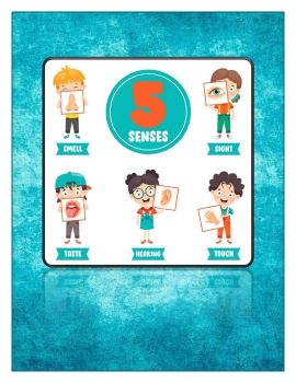 Five Senses