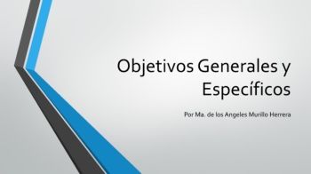 Objetivos Generales y Específicos