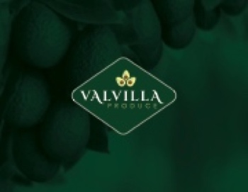 VALVILA PRESENTACION4