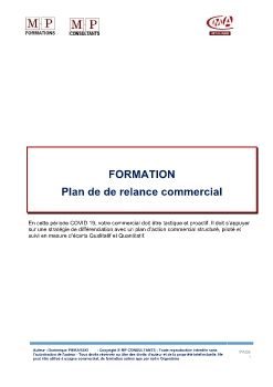 LIVRABLE PLAN D'ACTION COMMERCIAL