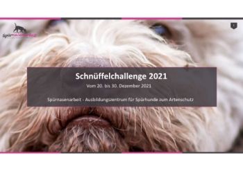 Microsoft PowerPoint - Ergebnis Schnüffelchallenge 2021.pptx