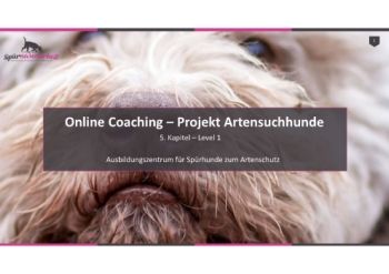 Online Coaching - 5. Kapitel.pptx