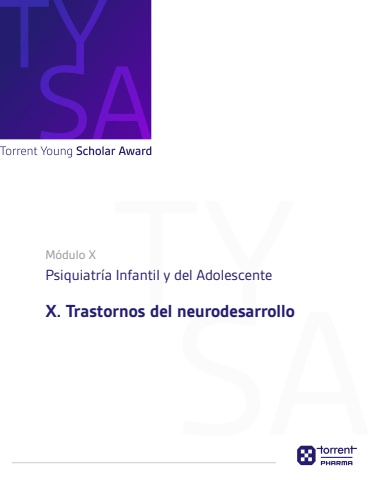 MX_Tema X