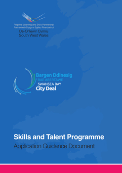 Skills and Talent Programme