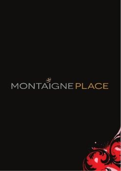 Montaigne Place E-Flyer