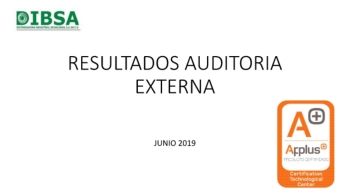 RESULTADOS AUDITORIA EXTERNA