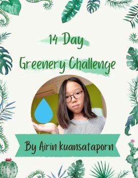 14 day greenery challenge