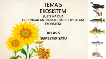 TEMA  EKOSISTEM SUBTEMA DUA HUBUNGAN ANTRA MAHLUK HIDUP DALAM EKOSISTEM