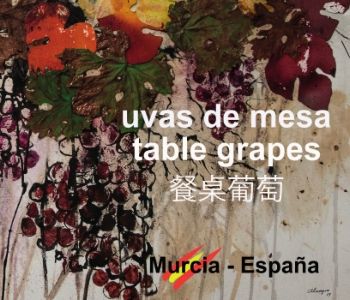 1-Catalogo UVA DE MESA (ESP-ING-CHI)