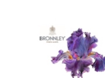 Bronnley - Comtemorary 