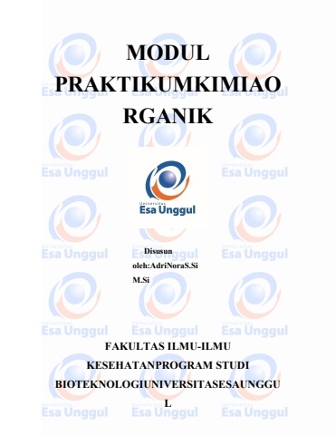 flipbook_pengembangan bahan ajar IT