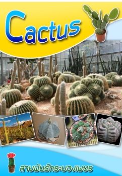 Cactus_Neat12