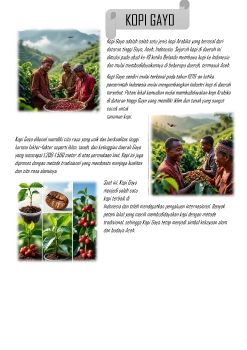 SEJARAH KOPI GAYO_Neat