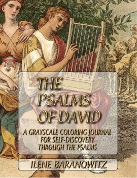 PSALMS OF DAVID SELF-DISCOVERY JOURNAL gray FINAL