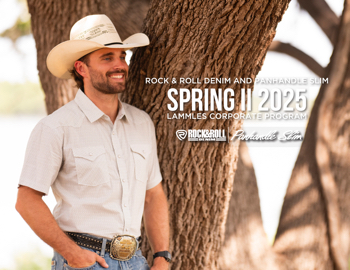 Spring II 2025 | Lammles Corporate Program