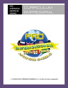 curriculum empresarial