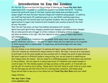 Zag The Zonkey Herdwork and Hoofs