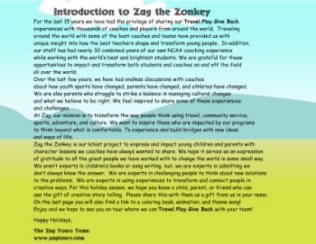 Zag The Zonkey