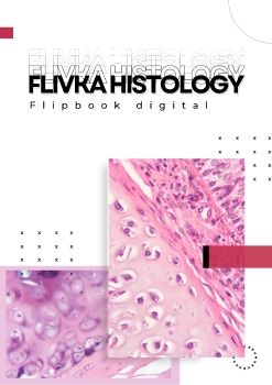 FLIVKA HISTOLOGY