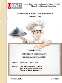 Manual de estrategias de Enseñanza y Aprendizaje._Neat