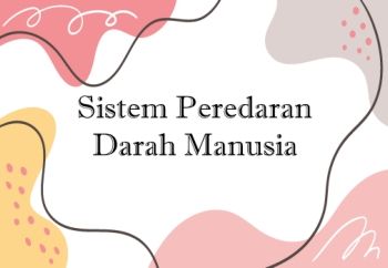 1808086011_Mustajib_FPP_Sistem Peredaran Darah_Neat