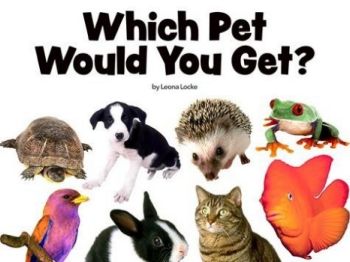5. WHICH PET WOULD YOU GET L2 - Annie Le