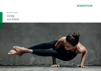 Schaeffler Brandplaybook