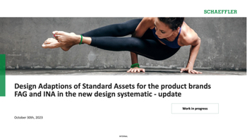 Schaeffler Standard Assets