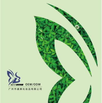 广州市盛美化妆品有限公司  宣传画册