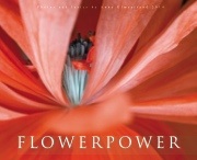 FLOWERPOWER by Anna Ulmestrand