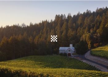 Checkerboard Vineyards Overview