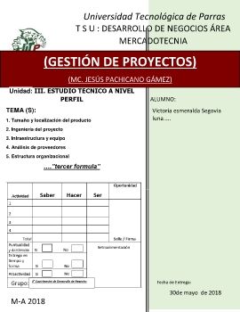 UNIDAD 3 GESTION DE PROYECTO