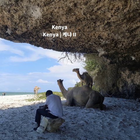 2-03-4_Kenya_2