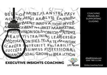 Hikmaty Executive Insights Coaching Program